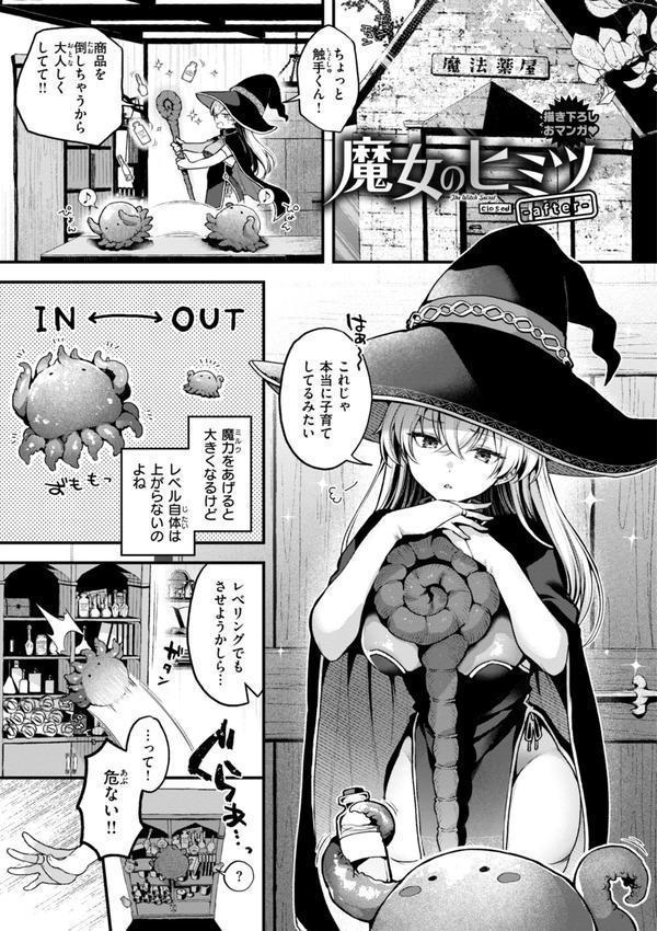 ここは淫らな異世界です。 エロ画像 043