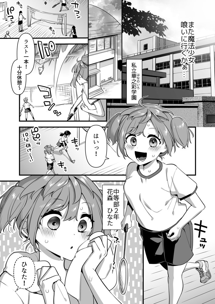 悪の手先になったので。〜魔法少女を凌●します〜2 エロ同人誌画像 007