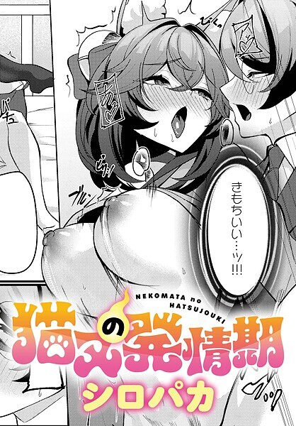 猫又の発情期