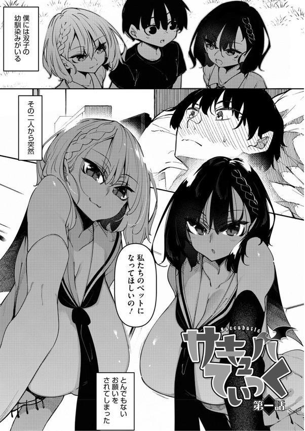 サキュバてぃっく【単行本】 エロ画像 002