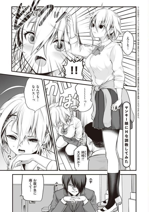 ヤンキー娘にHな調教してみた 【デジタル特装版】 エロ画像 003