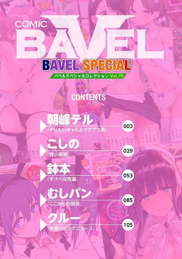 COMIC BAVEL SPECIAL COLLECTION（コミックバベル スペシャルコレクション）VOL70 エロ画像 002