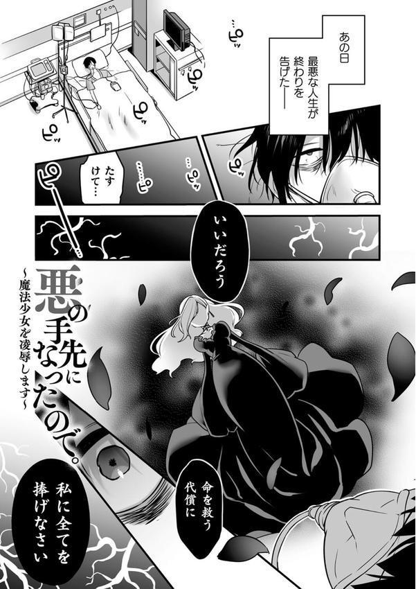 悪の手先になったので。 〜魔法少女を××します〜 THE BOOK エロ画像 004