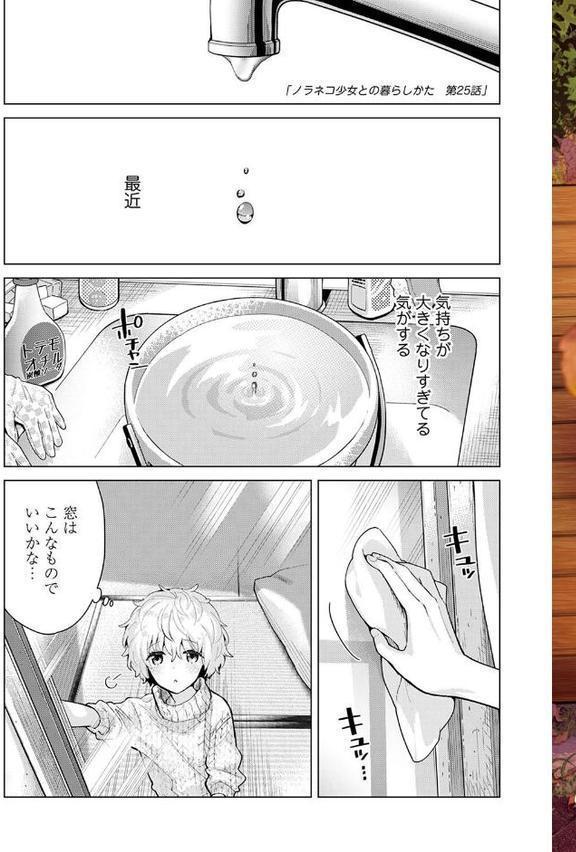 ノラネコ少女との暮らしかた【単行本版】 エロ画像 004