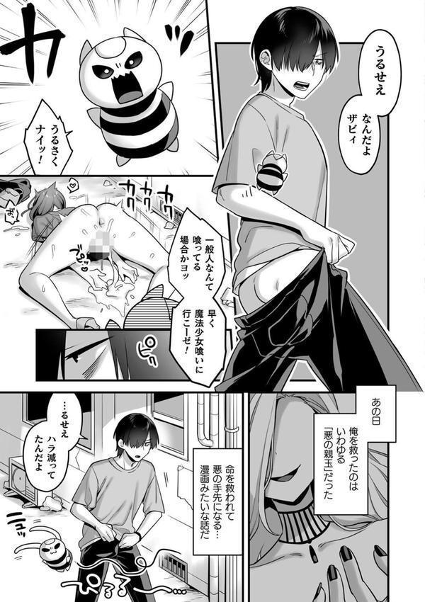 悪の手先になったので。 〜魔法少女を××します〜 THE BOOK エロ画像 006