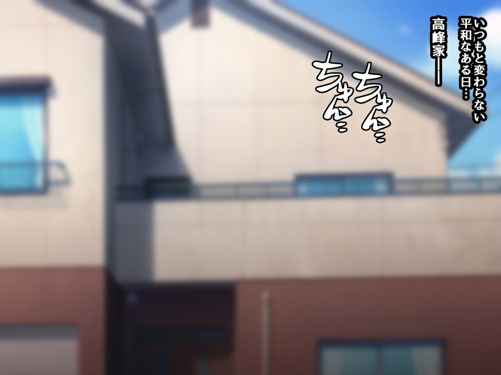 催●教団に奪われる総集編（シリーズ3作品セット＋After） エロ同人誌画像 041