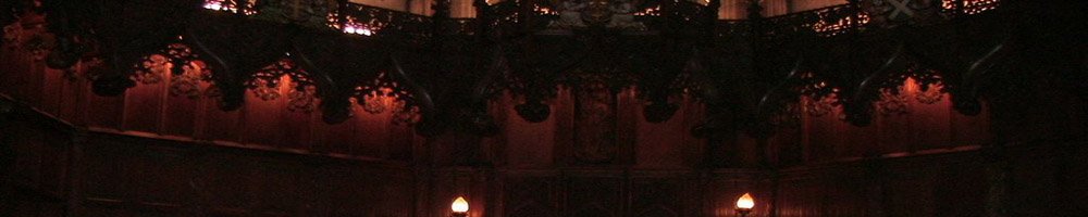 妹魔王ルファルサ！！〜お兄ちゃん勇者は妹の愛の炎で射精する運命〜 エロ同人誌画像 012