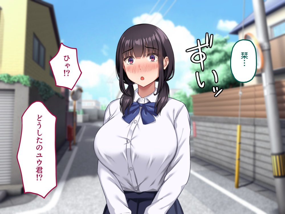 【早期購入セール20％OFF】気弱で俺にだけ懐いていた幼馴染が、知らぬ間に寝取られていた エロ同人誌画像 011
